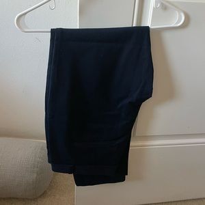 Banana republic Sloan skiing pants